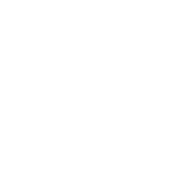 allowed-parking-vehicle-icon-van